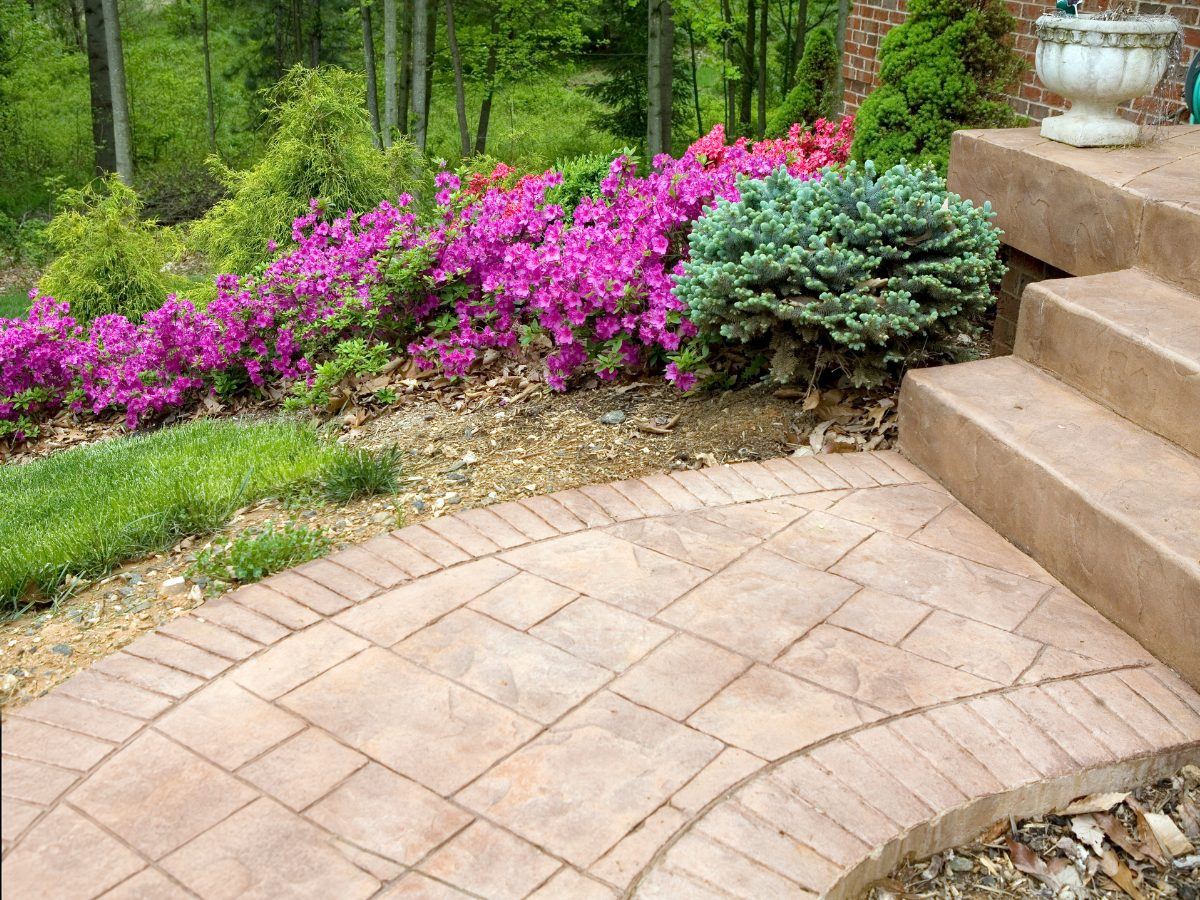 Stamped concrete walkway with stone steps and pink azaleas